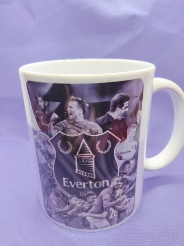 Everton football mug - football,