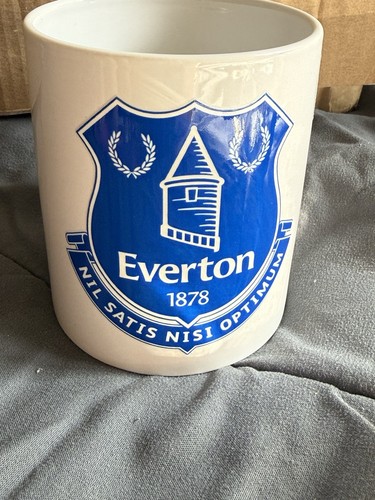 Everton football club mug - club,
