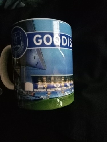 Everton goodison park - f.c,